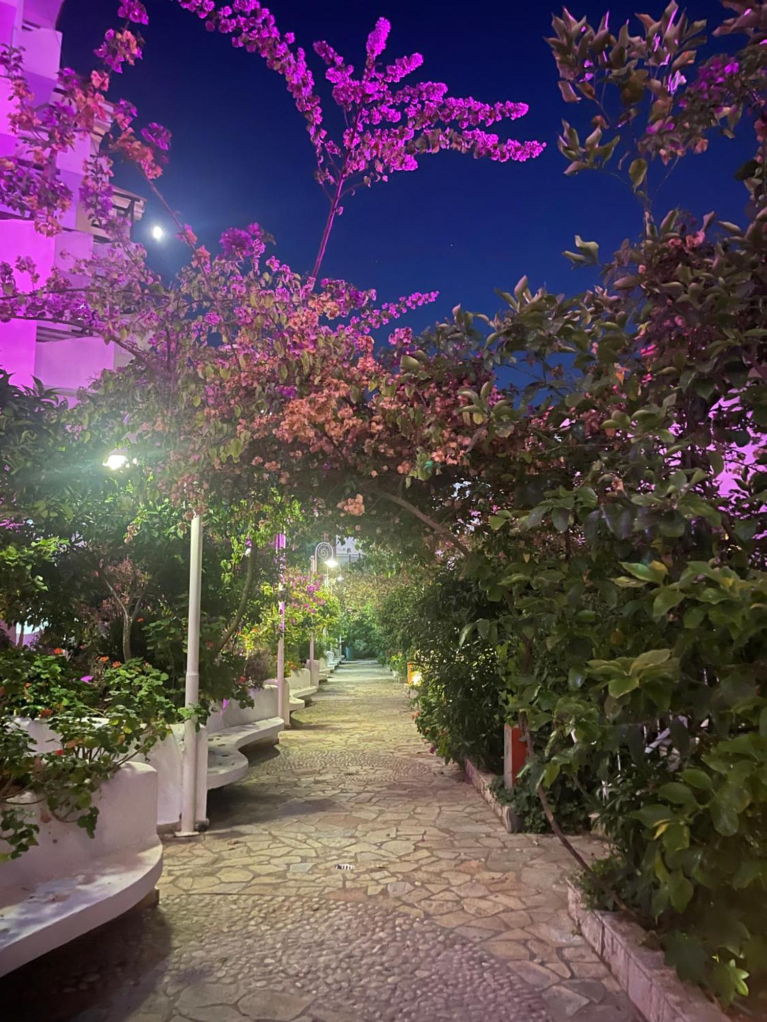 Sea Breeze Apartment Bougainville Bay Sarandë Exterior foto